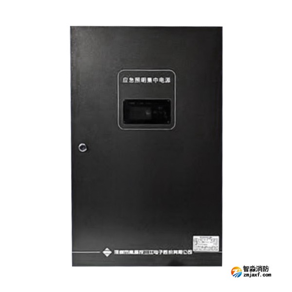 山西海灣SJ-D-0.6KVA/P601AC應(yīng)急照明集中電源 4回路 壁掛式